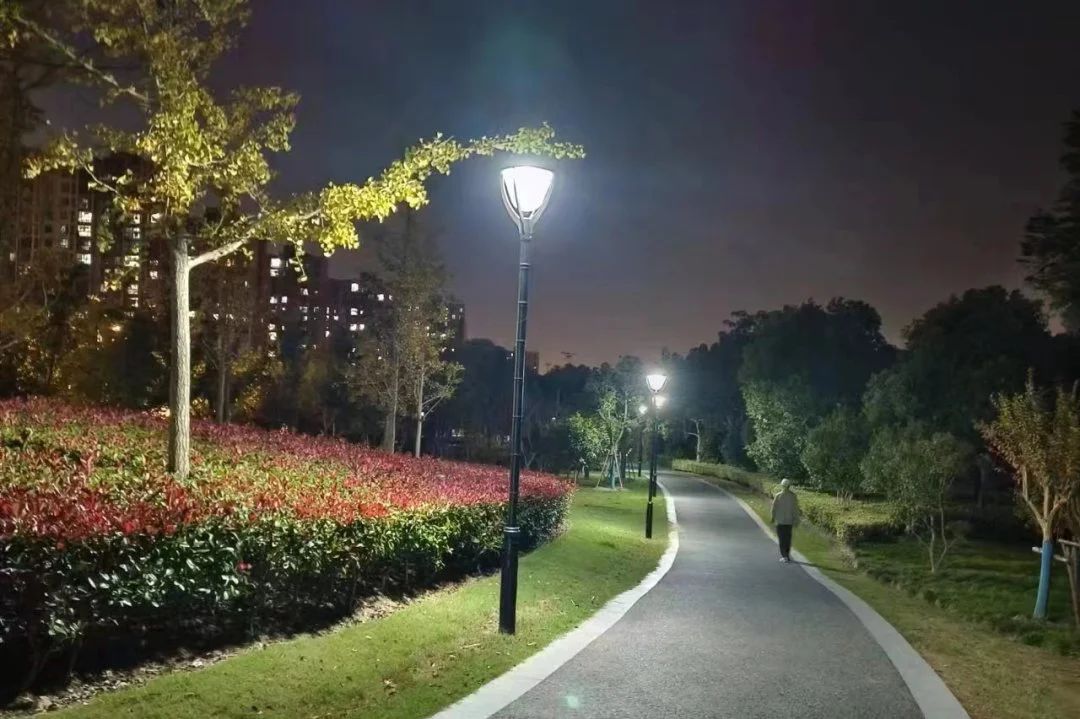 上海奉賢區金匯鎮賢雅苑綠地60個庭院照明燈正式亮燈---豐朗光電